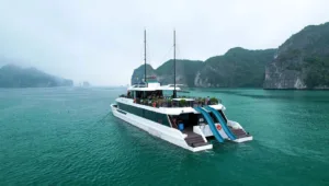 Halong bay day cruise - Catamaran