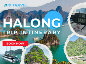 Halong bay day cruise trip intinerary