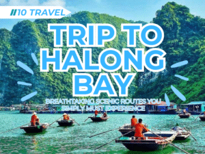 Tripl of Halong bay day cruise