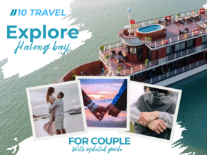 Halong bay day cruise 31/12/2025