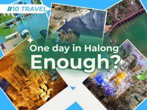 Halong bay day cruise for you