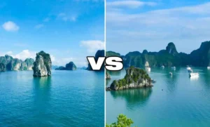 Halong bay day cruise - Halong bay vs Lan Ha bay