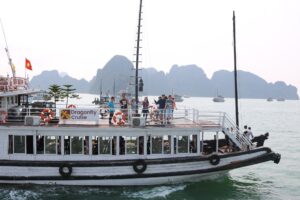 Halong bay day cruise - Dragonfly cruise