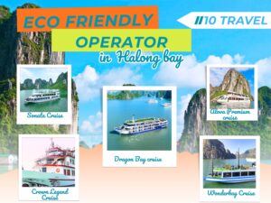 Halong bay day cruise - Eco Friendly Operator