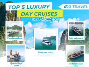 Top 5 luxury Halong bay day cruise