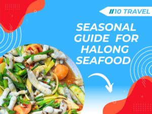 Seasonal guide for Halong seafood