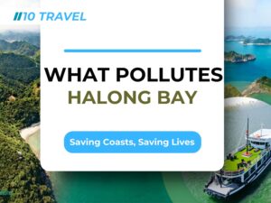 Halong bay pollution