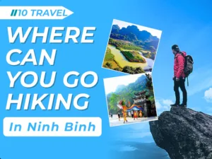 Where Can You Go Hiking in Ninh Binh — The “Halong Bay on Land” Adventure for Nature Lovers