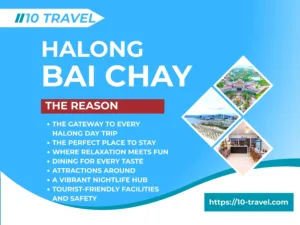 Why Does Bai Chay, Halong Cater to Tourists? A Complete Travel Guide for Day Trippers