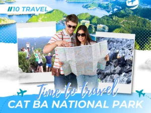 Why You Should Add Cat Ba National Park to Your Halong Day Trip