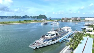 Halong Paradise Delight